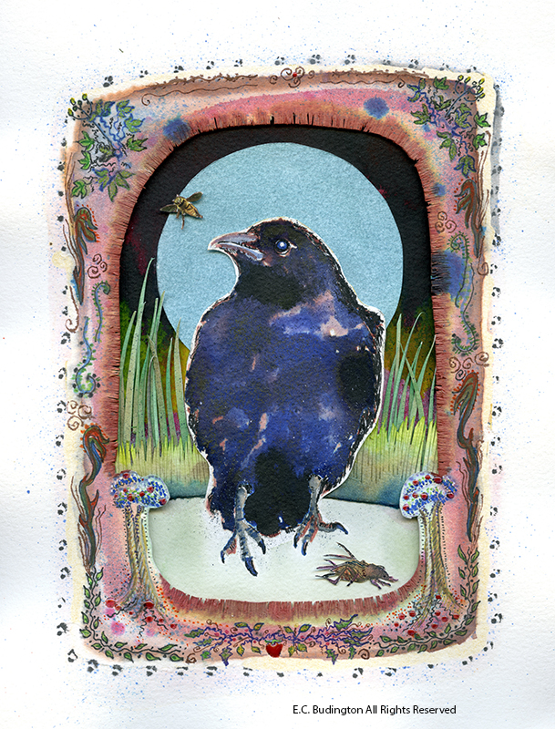 Fat Crow